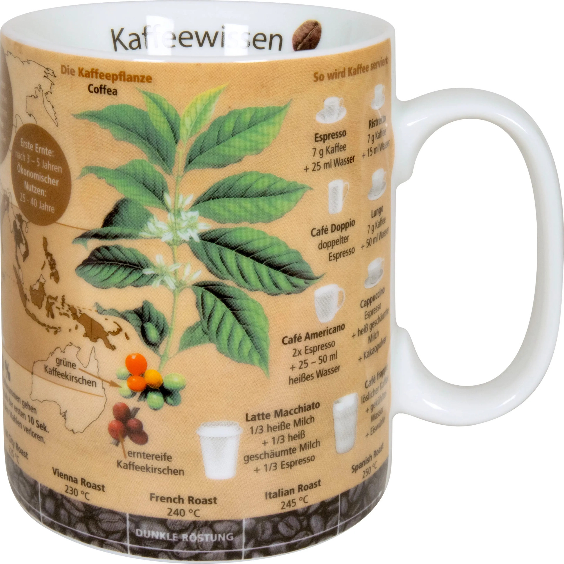 Könitz Wissensbecher "Kaffeewissen" – 490 ml 